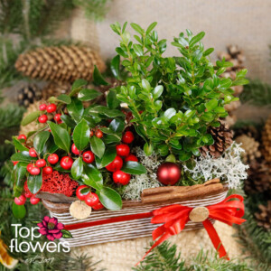 Christmas Basket with Live Plants | Brown Decorative Christmas basket with natural elements – Top Flowers