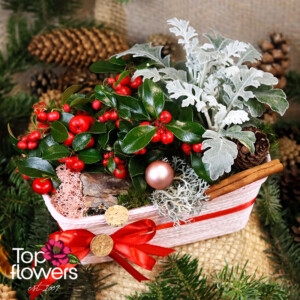 Christmas Basket with Live Plants | Pink Elegant basket with live plants and Christmas accents – Top Flowers