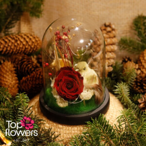 Red eternal rose with decorative lighting and chick