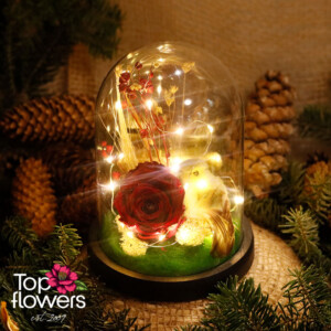 Eternal Rose with Dome | Red Eternal rose with chick and natural accents