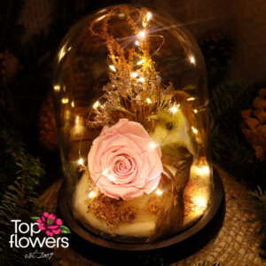 Eternal Rose with Dome | Pink Eternal pink rose under glass dome with LED light
