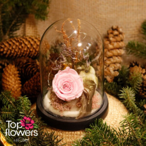 Eternal rose with lighting and natural materials