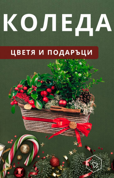 Нашите предложения за Коледни подаръци!