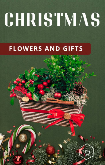 Deluxe luxury collection