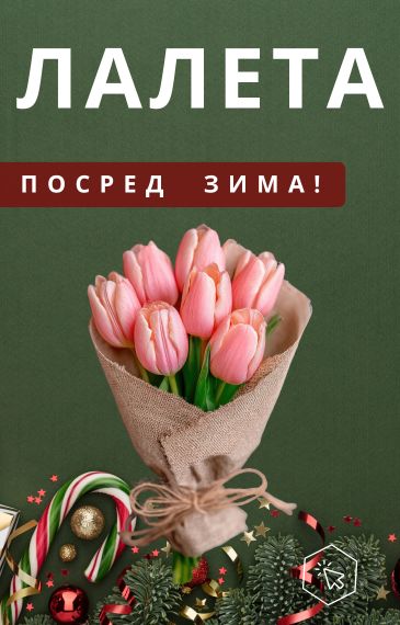 Лалета сега + доставка! 