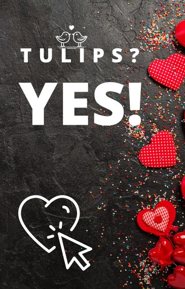 Tulips now + delivery! 