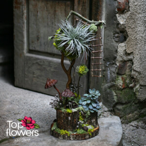 Арт инсталация Скритата гора с тиландсия и скандинавски мъх от магазин за цветя