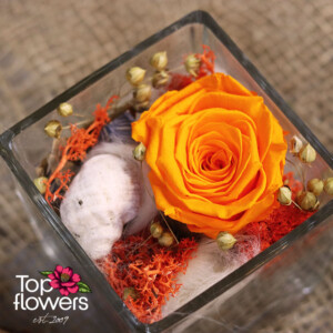 Вечна роза в стъкло | Оранжева Декоративна композиция с вечна роза, мъх и памук в стъкло