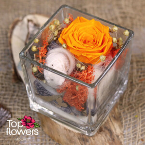 Малка аранжировка с вечна роза в прозрачен съд