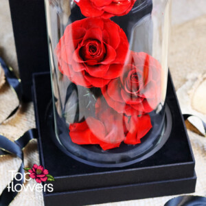 Голяма вечна роза в луксозна кутия с три червени рози под купол