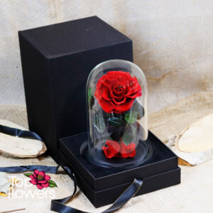 Вечна червена роза под стъклен купол в луксозна кутия