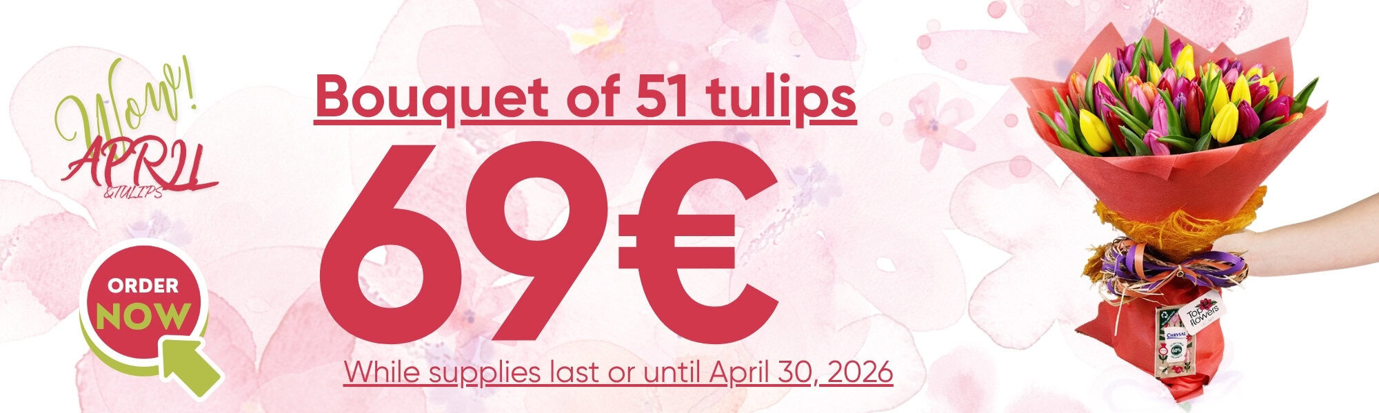 Best price - 51 tulips