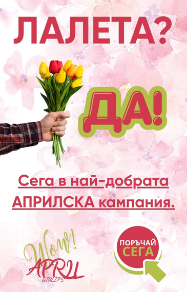 Лалета сега + доставка! 