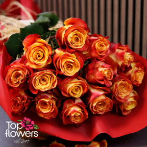 Close-up of fiery roses in yellow and orange shades