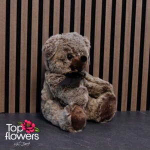 Melange Brown Teddy Bear | 24 cm
