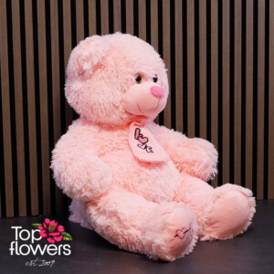 Pink Teddy Bear with Scarf | 45 cm