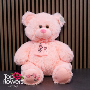 Pink Teddy Bear with Scarf | 45 cm