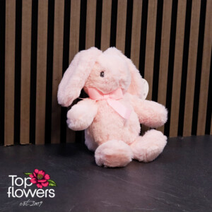 Pink Bunny | 18 cm
