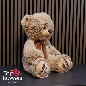 Beige Teddy Bear with Ribbon and “I Love You” Message | 45 cm