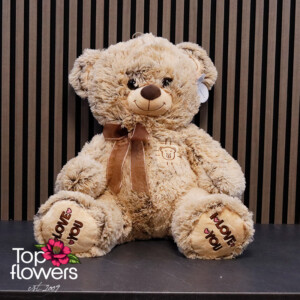 Beige Teddy Bear with Ribbon and “I Love You” Message | 45 cm