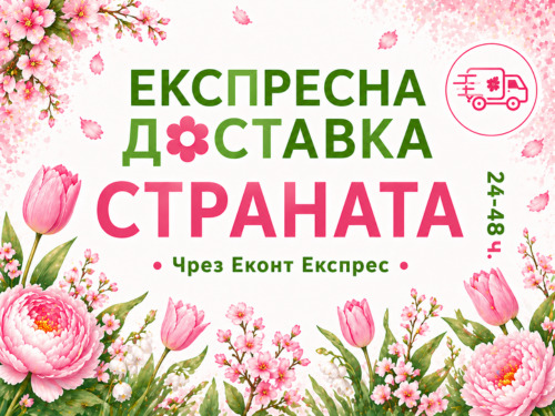 Бърза доставка на цветя в цялата страна.