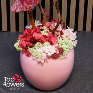 Close-up of a composition with Scandinavian moss, hydrangea and decorative red accents