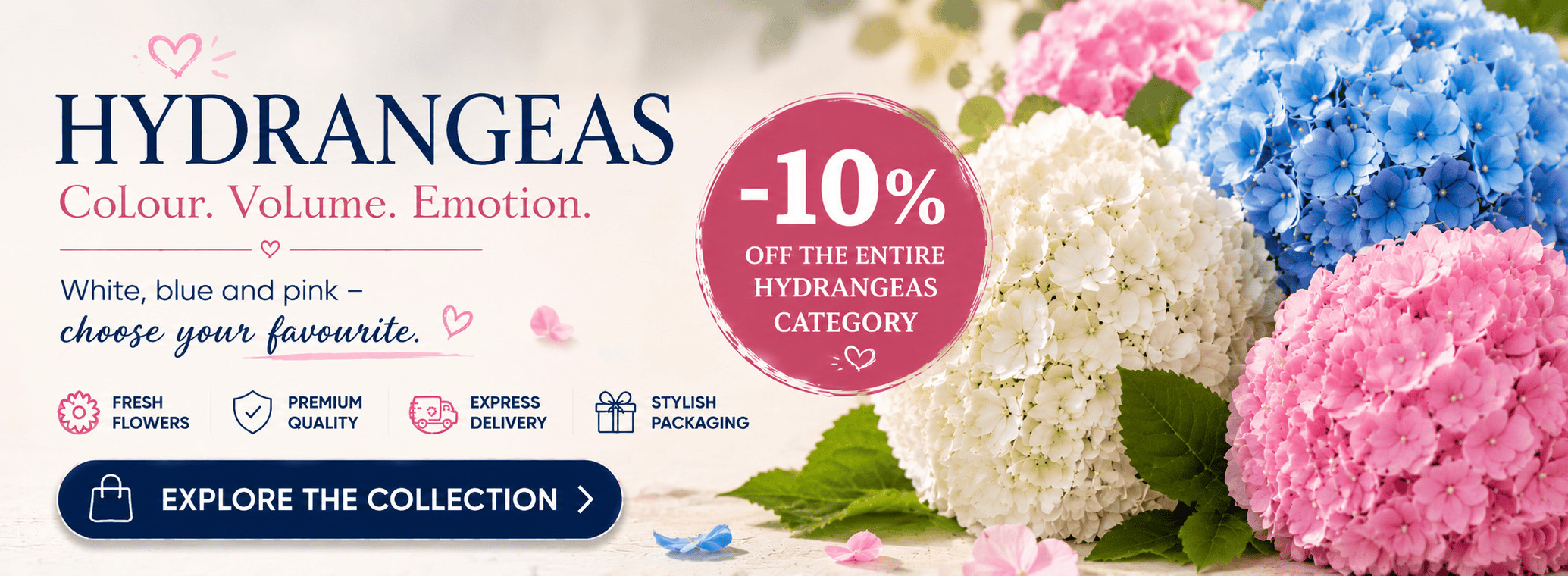 Best prices - hydrangea