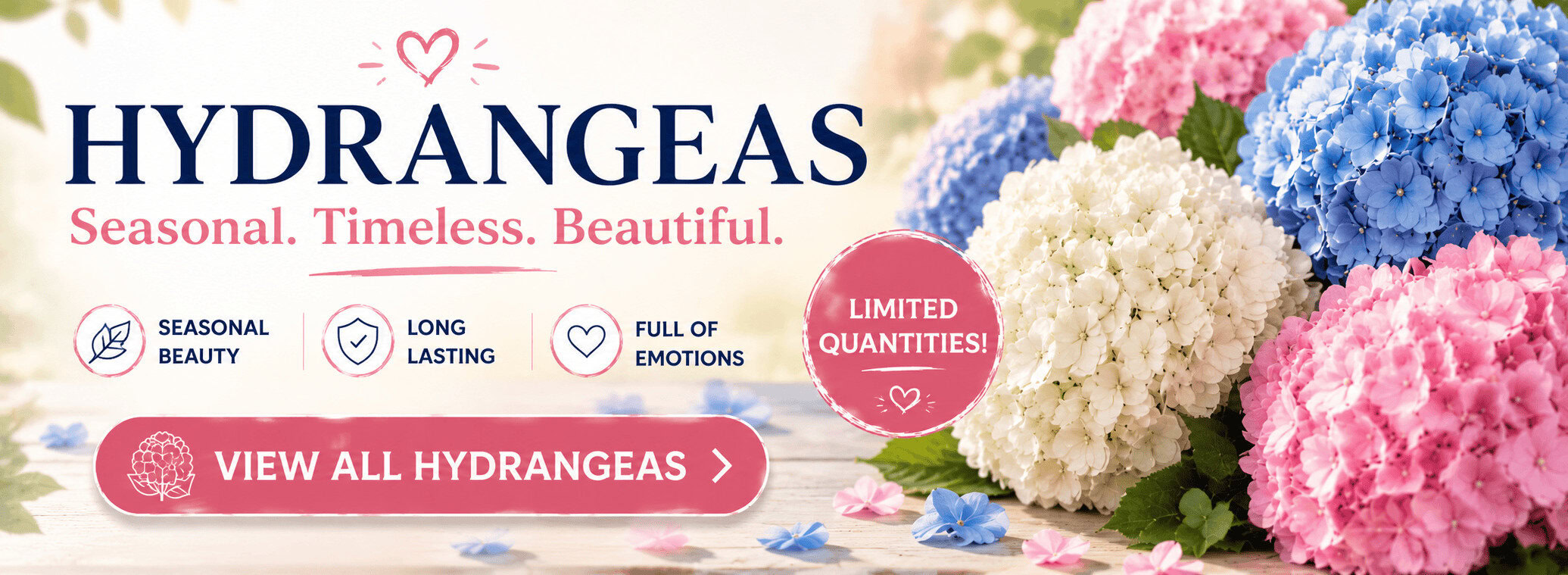 Best prices - hydrangea
