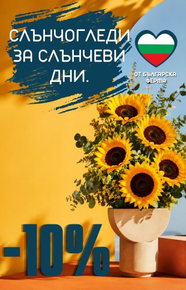 Сезонни слънчогледи на топ цени. Българско производство директно от фермите!