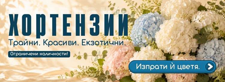 Букети и аранжировки от сезонни хортензии. Екзотични, трайни и красиви цветя на супер цени!