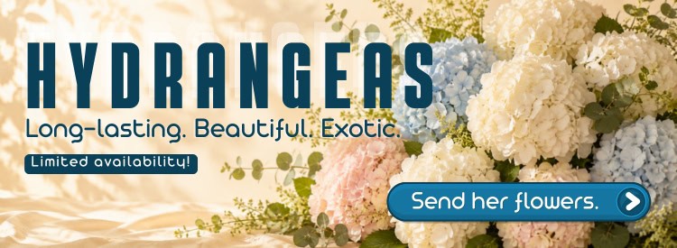 Bouquets and arrangements with seasonal hydrangeas. Exotic, long-lasting and beautiful flowers at great prices!