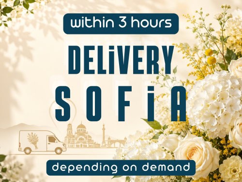 Express delivery of flowers, bouquets, arrangements and more in Sofia.