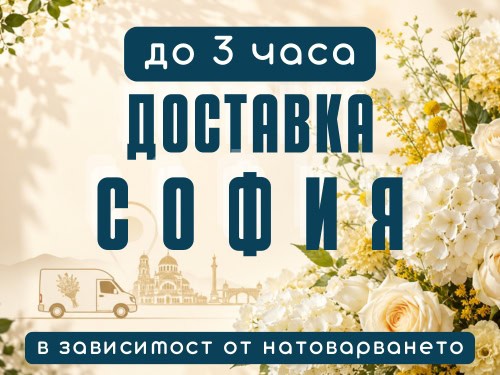 Експресна доставка на цветя, букети, аранжировки и други в гр. София.