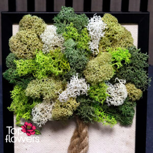 Living Picture | Fairytale Tree
